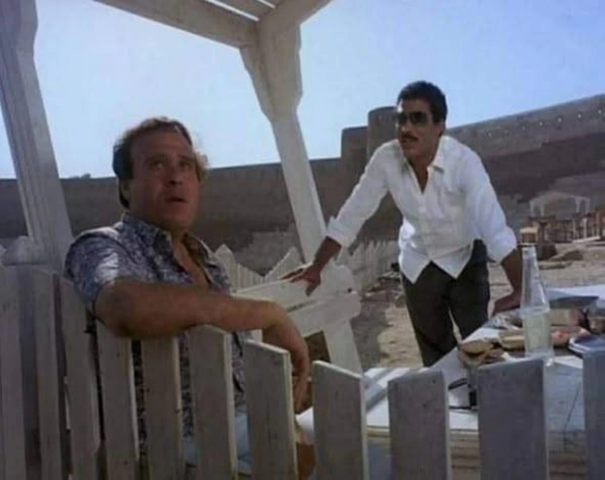 ممدوح وافي وأحمد زكي
