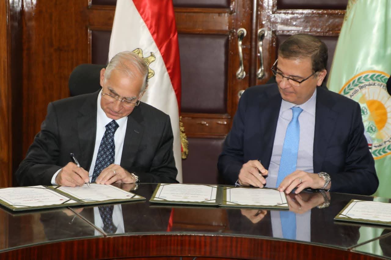 نقلة غير مسبوقة في الثروة الحيوانية.. مصر تطلق مشروعًا جديدًا للتحسين الوراثي للماشية