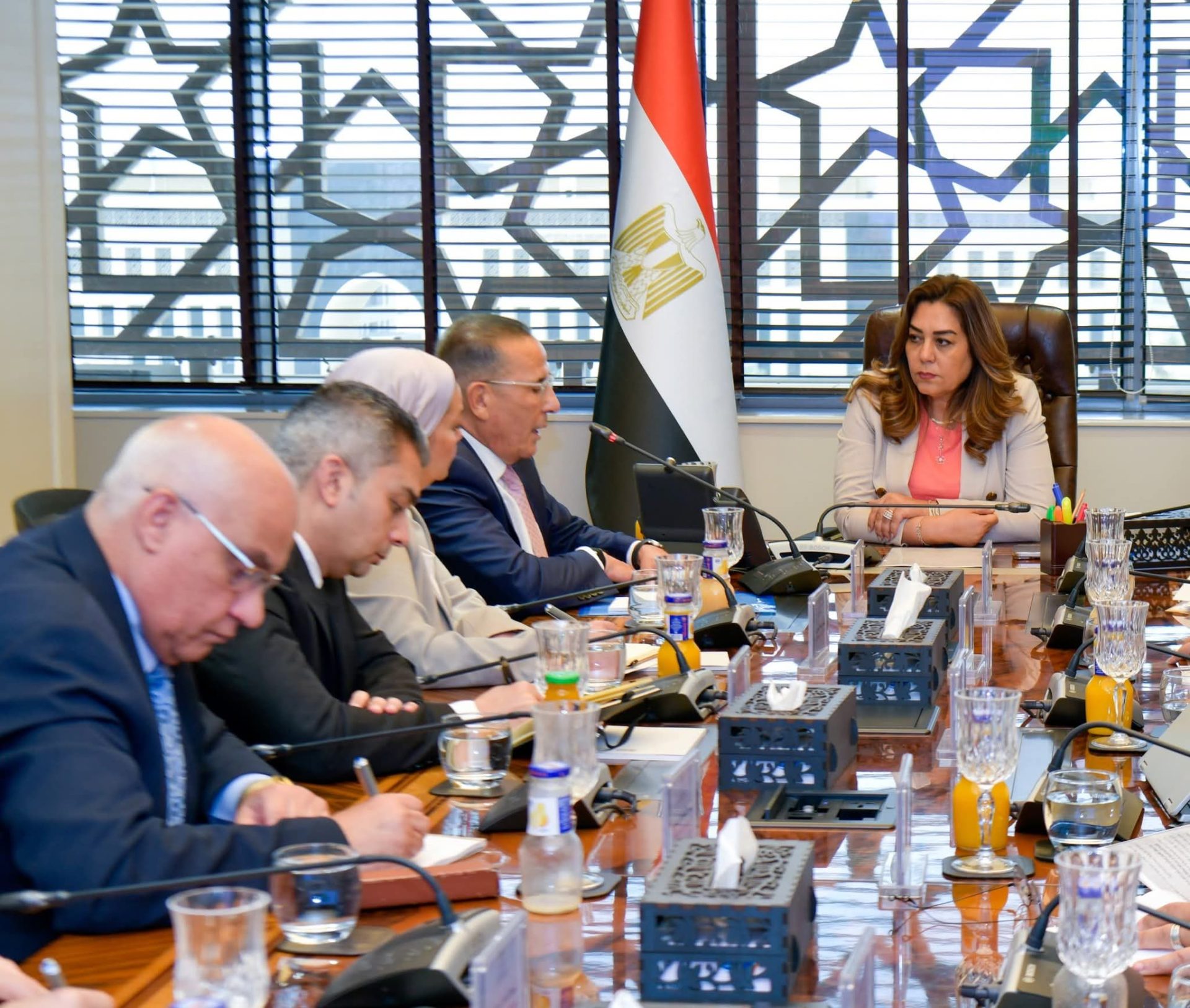 الدكتورة منال عوض، وزيرة التنمية المحلية و البيئة