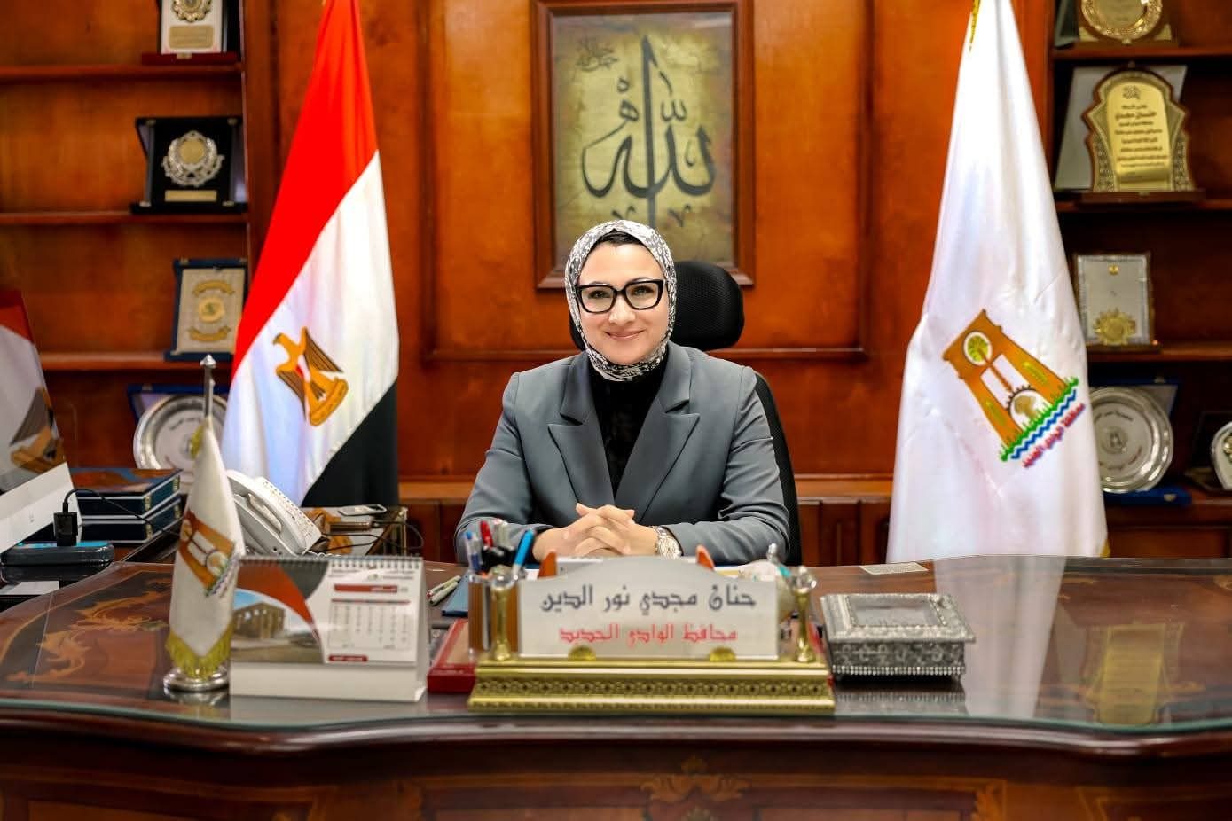 محافظ الوادى الجديد