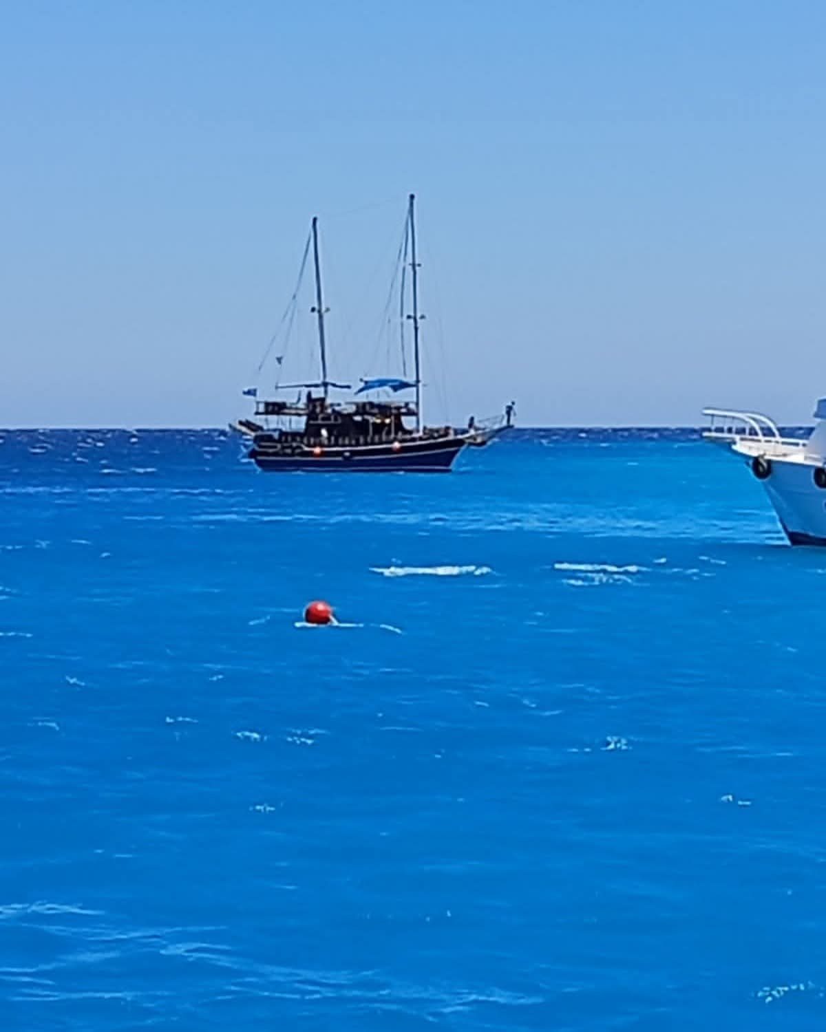 الشمندورات البحرية