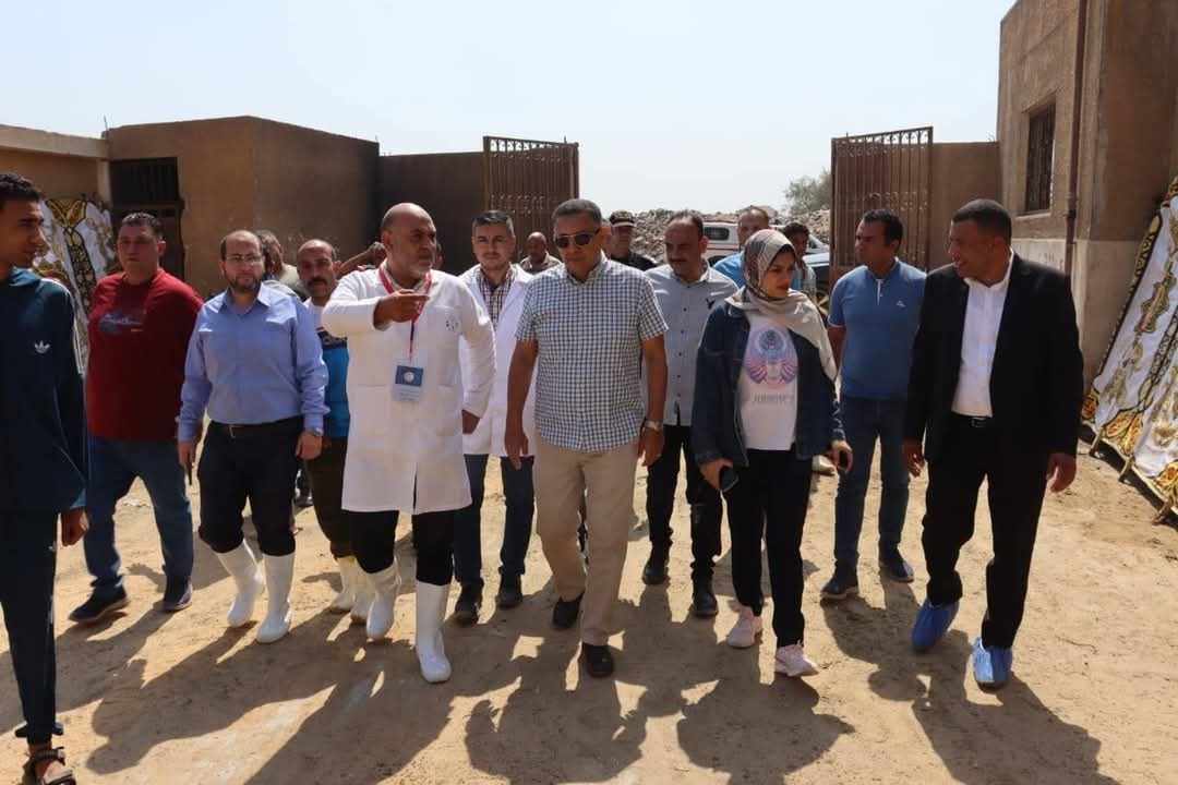 جولات ميدانية لمحافظ القليوبية