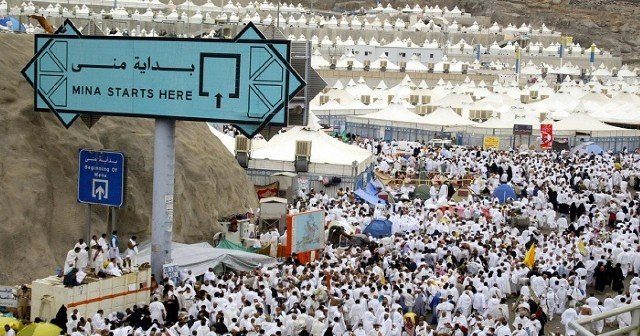 تقويج الحجيج