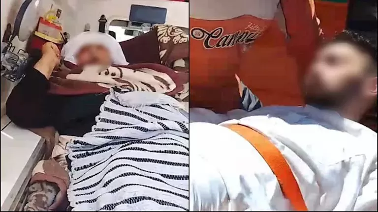التضامن