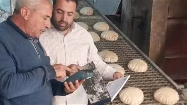 حملات رقابية بمحافظة البحيرة