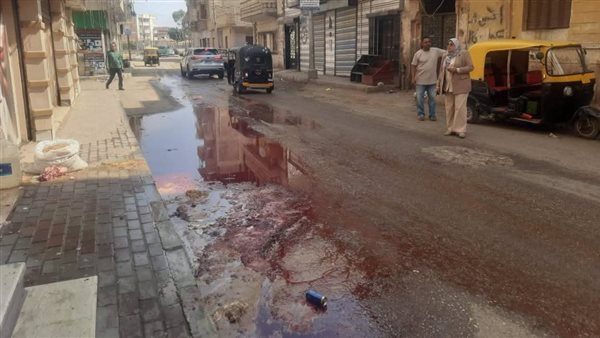 قويسنا بمحافظة المنوفية