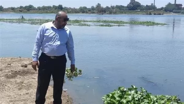حملات ميدانية بالمنوفية