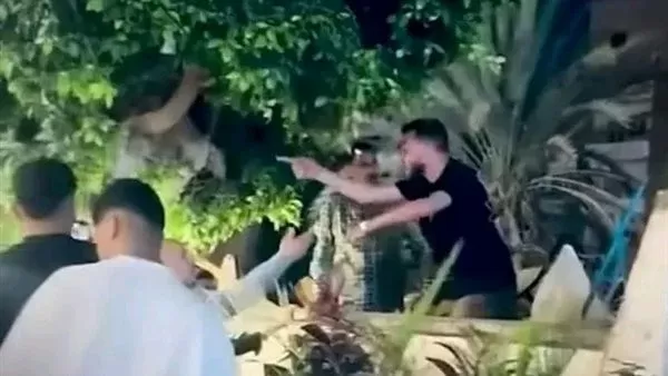 الواقعة