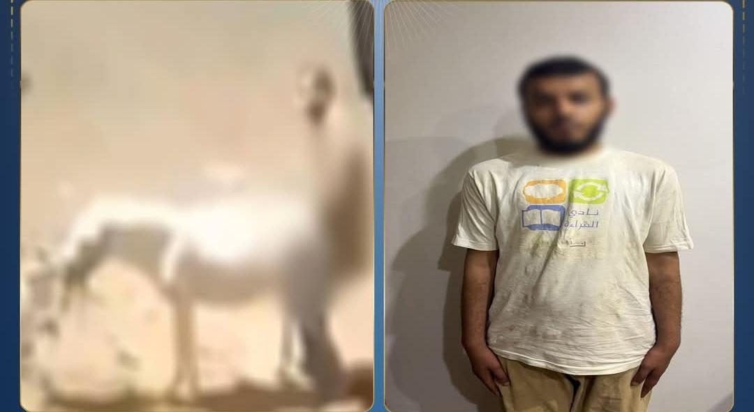المتهم