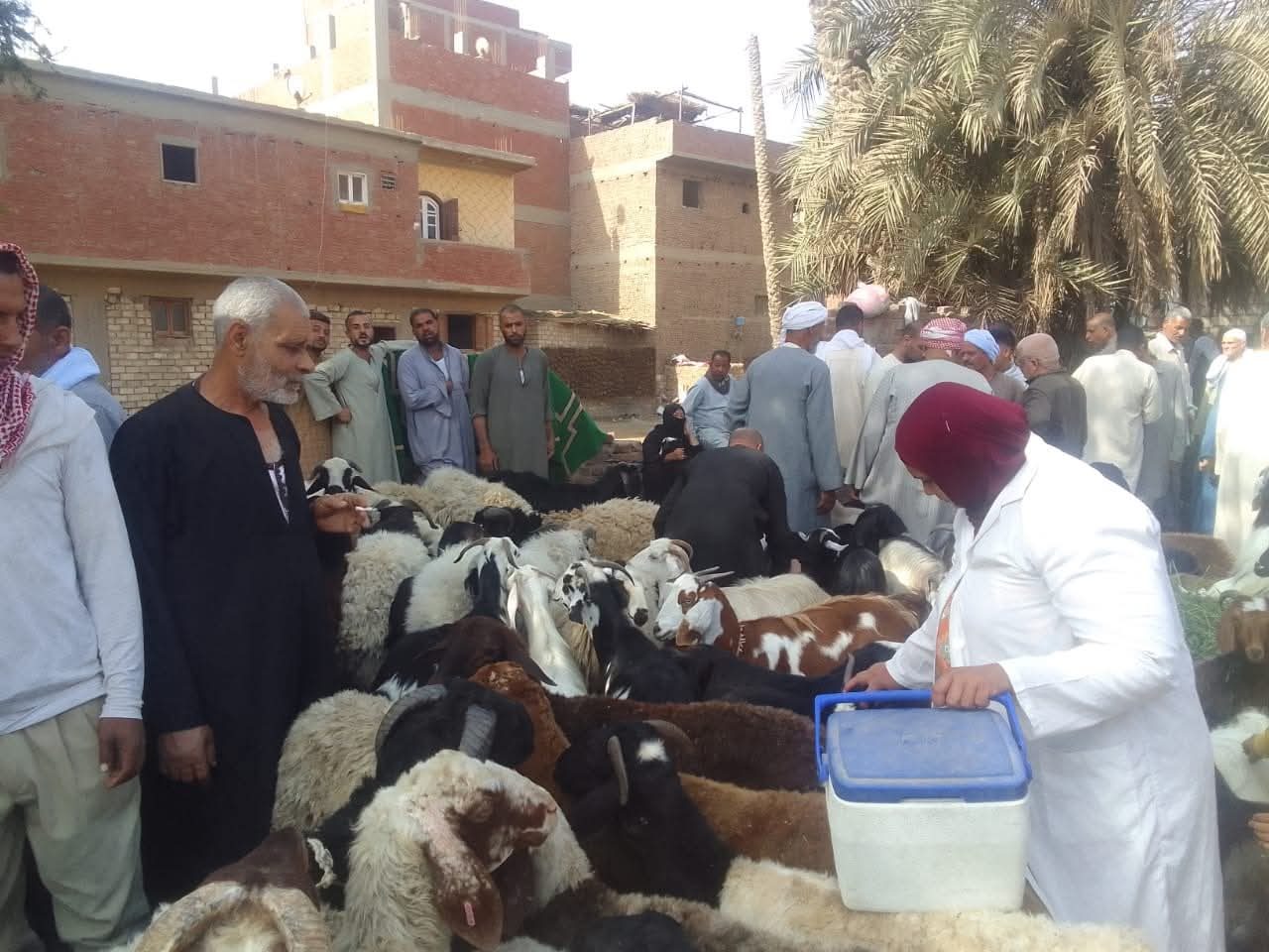 الحملة القومية