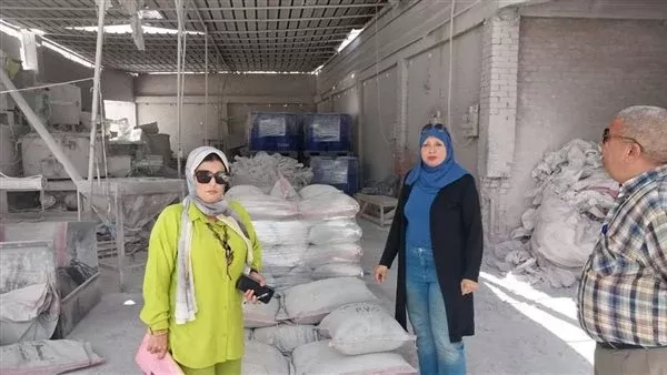 المضبوطات
