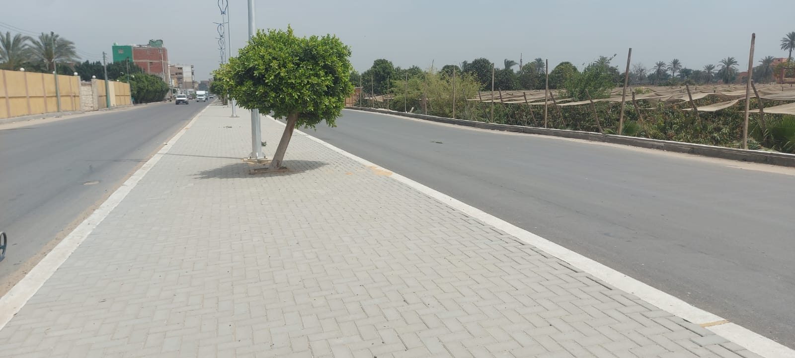 رصف طريق