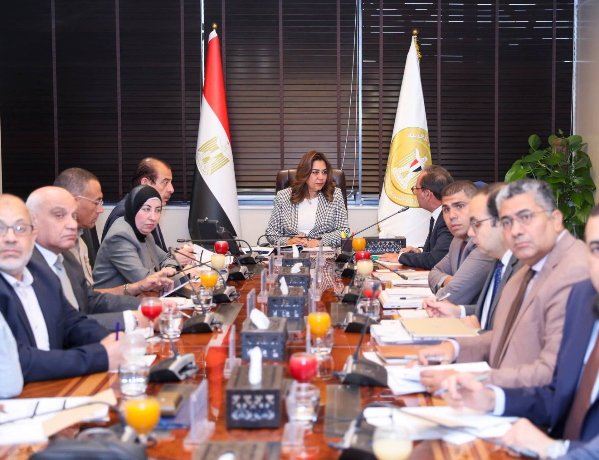 التنمية المحلية