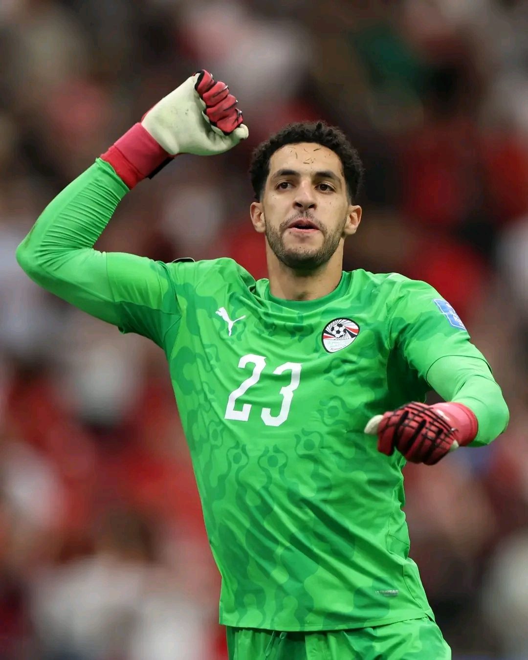 مصطفى شوبير يبحث عن مجد جديد مع الفراعنة في مونديال 2026