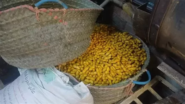 محال بيع وتحميص اللب