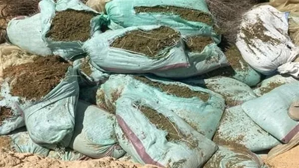 مخدرات