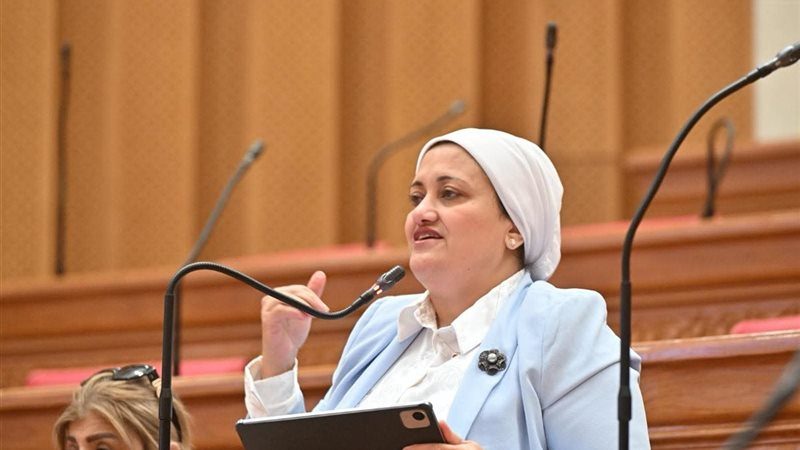 النائبة سناء السعيد، عضو مجلس النواب