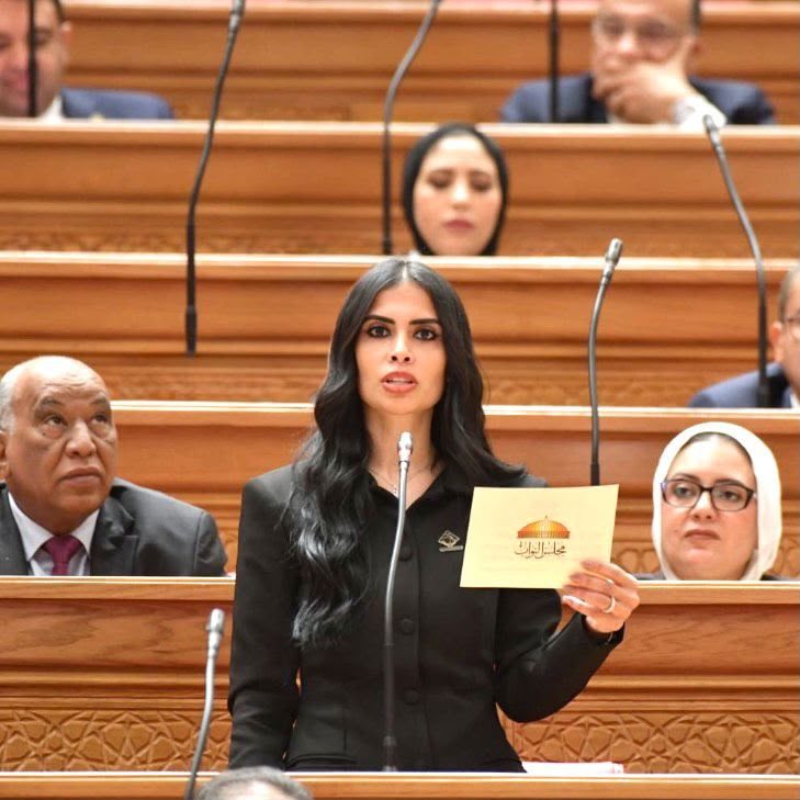 النائبة هايدي المغازي، عضو مجلس النواب