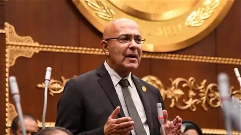 النائب أحمد صبور، عضو مجلس الشيوخ