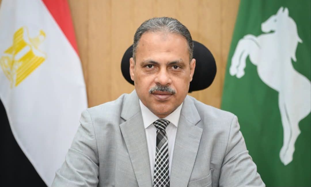 محافظ الشرقية