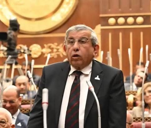 النائب علاء عبد النبي، عضو مجلس الشيوخ