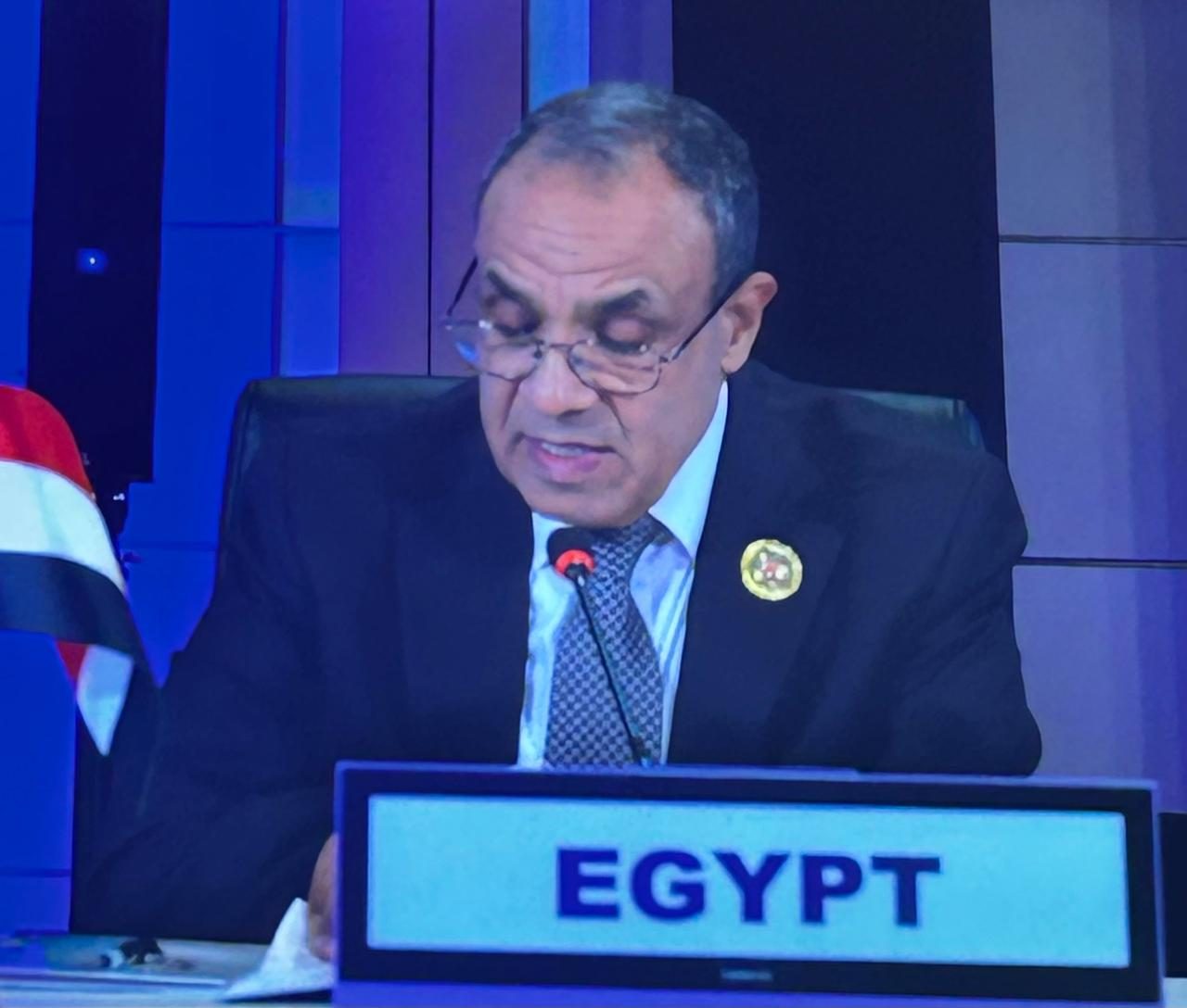د بدر عبد العاطي وزير الخارجية