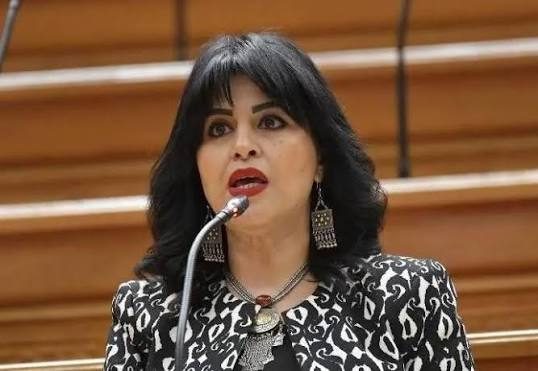 النائبة هند رشاد