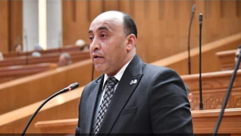 النائب حسام الخشت