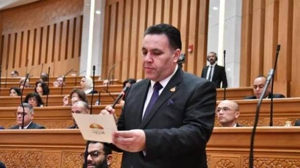 النائب عماد الغنيمي