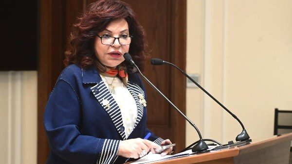 النائبة آمال عبد الحميد، عضو مجلس النواب