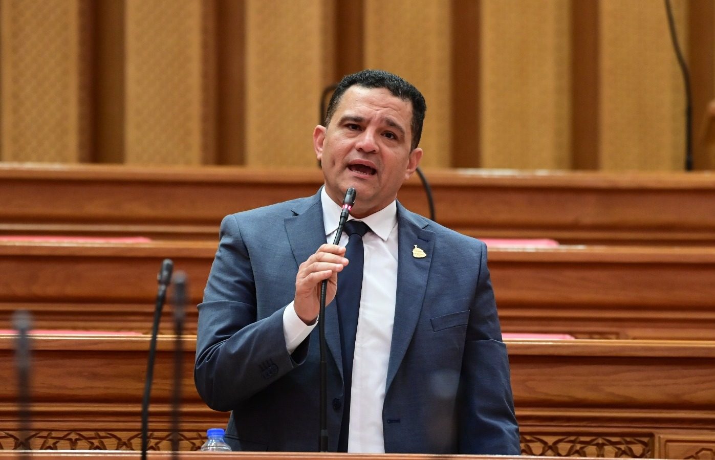 النائب أمير الجزار