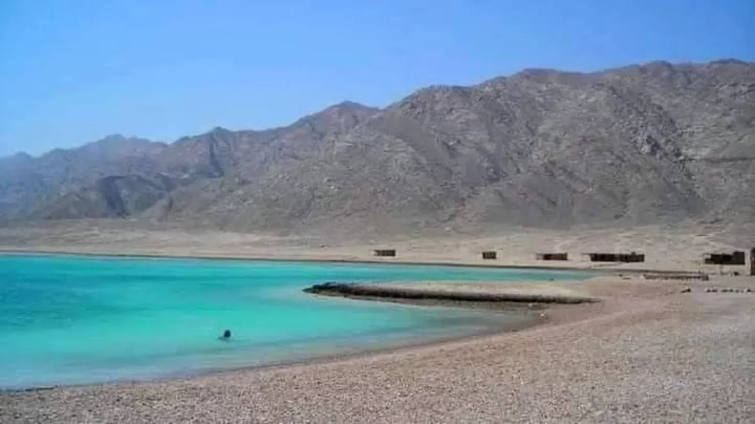 التنمية المحلية