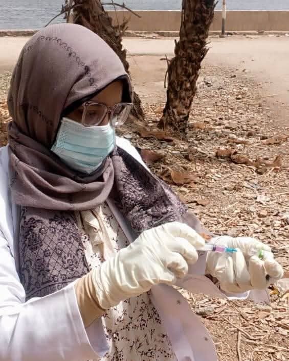 تكثيف الحملات للتعامل مع الكلاب الحرة بأسلوب علمى وإنسانى والحد من إنتشار مرض السعار بأسوان