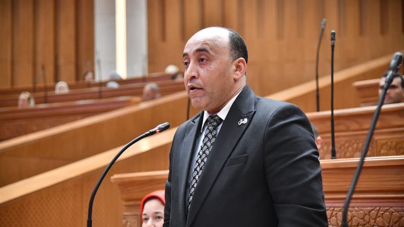 النائب حسام حسن