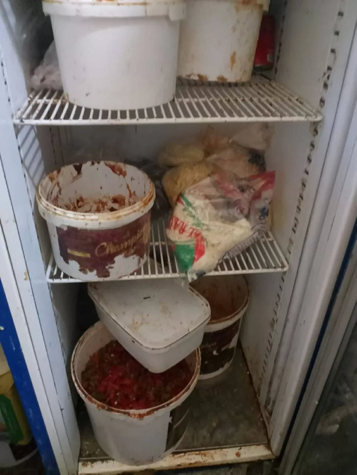 طعام به حشرات