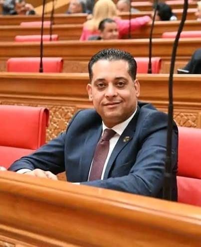 النائب محمد نشأت العمدة