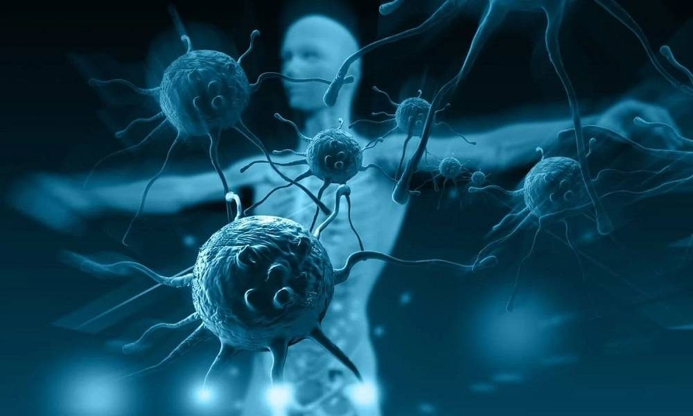 طعام خارق في تقوية المناعة والقلب
