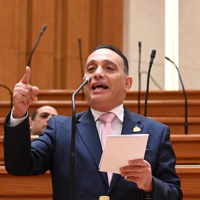 النائب فريدي البياضي، عضو مجلس النواب