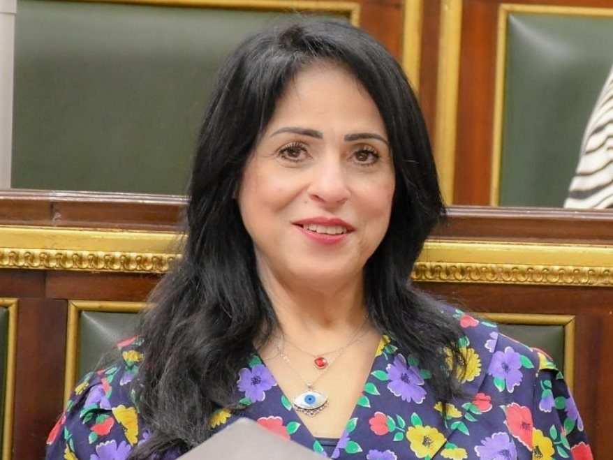 النائبة ميرال الهريدي، عضو مجلس الشيوخ