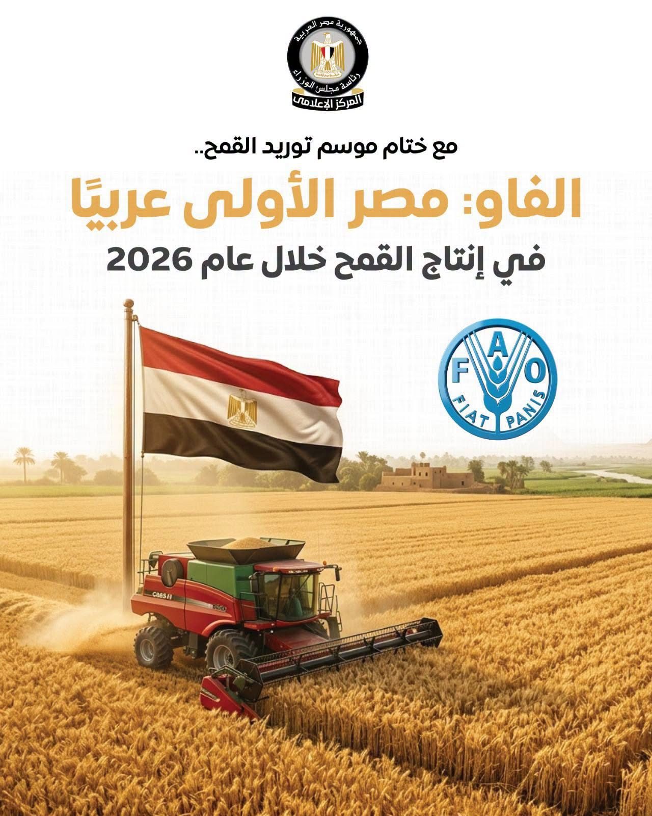 القمح