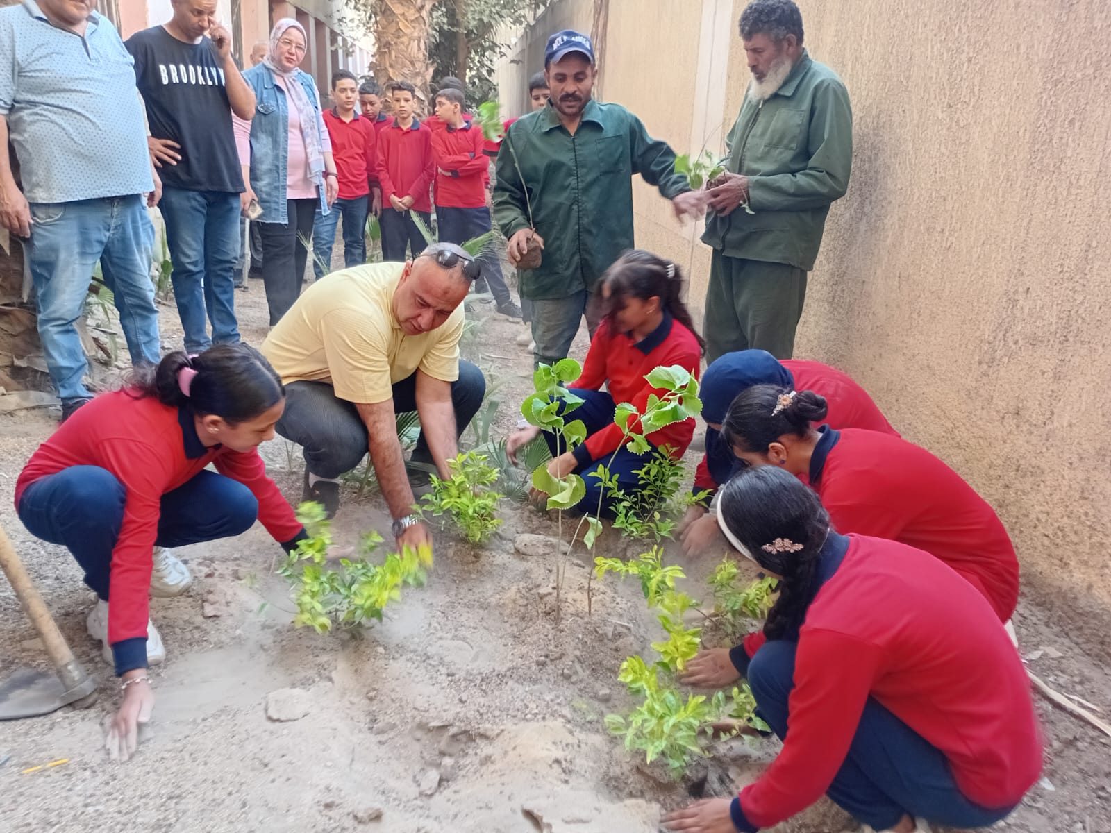 ضمن حملة التوعية البيئية بالمدارس.. تدريب طلاب مدرسة طه حسين بالعمرانية على زراعة النباتات والأشجار