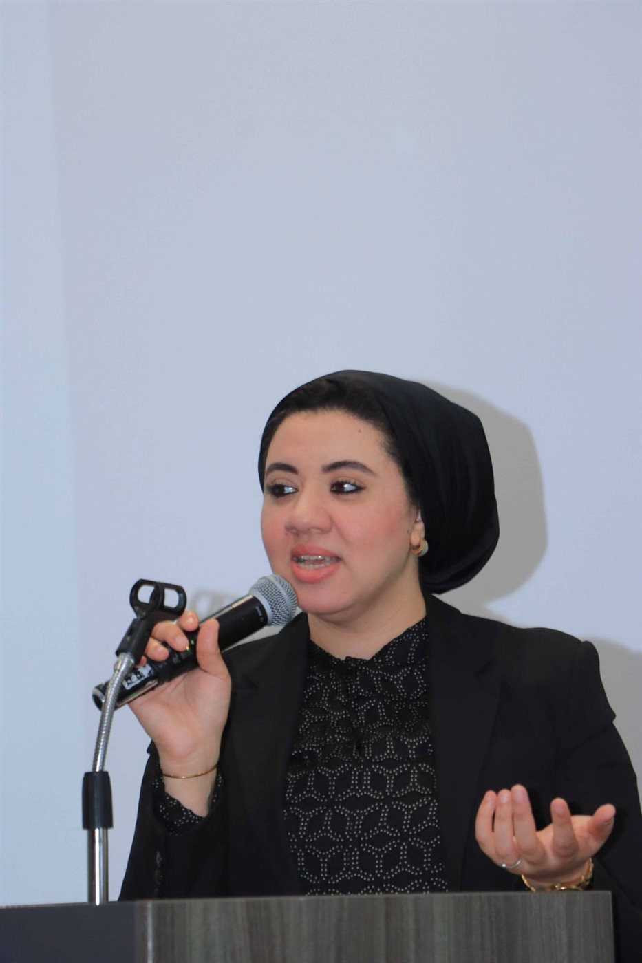 النائبة أميرة صابر