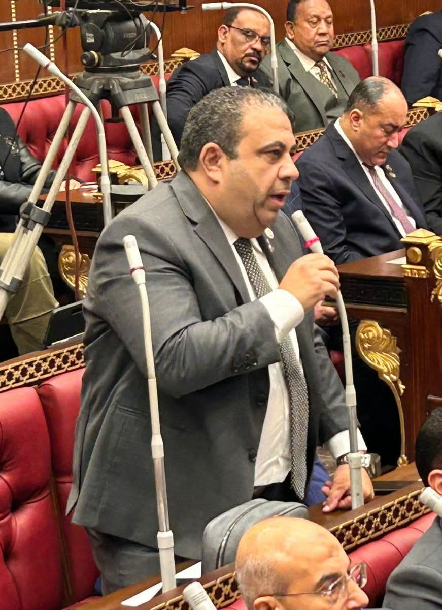 النائب أيمن الصفتي